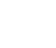 Dentsu Aegis Network